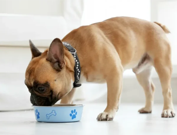 Advanced Hip & Joint Gravy - Image 8