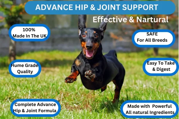 Advanced Hip & Joint 300 Tablets - Image 11