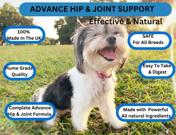 Advanced Hip & Joint 300 Tablets - Image 13