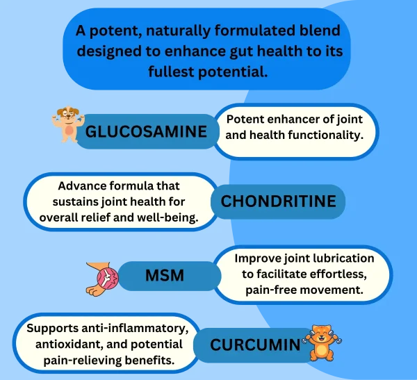 Advanced Hip & Joint 300 Tablets - Image 3