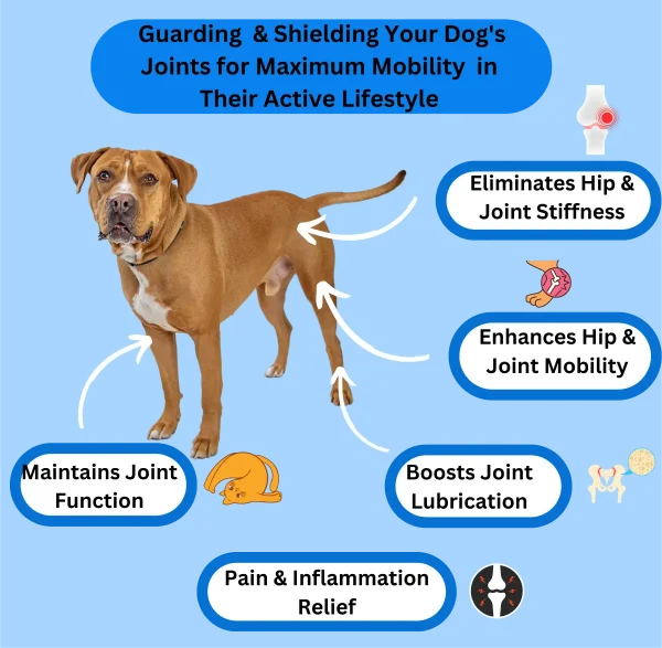 Advanced Hip & Joint 300 Tablets - Image 10
